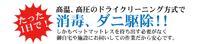 1���ō�Ɗ���